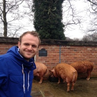Wayne and the pigs
